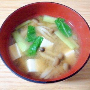 豆腐としめじ小松菜の味噌汁